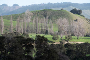 Farmaland in Winter, Whanganui, North Island, New Zealand - SCP Stock