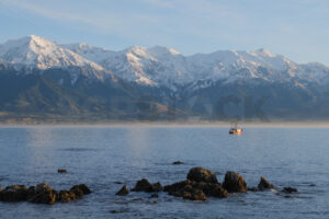 Fishing boat off the Kaikoura Coast, South Island, New Zealand - SCP Stock