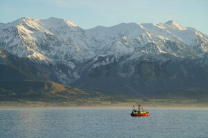 Fishing boat off the Kaikoura Coast, South Island, New Zealand - SCP Stock