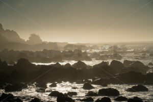 Kaikoura Coast, South Island, New Zealand - SCP Stock