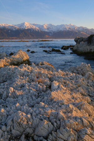 Kaikoura Coast, South Island, New Zealand - SCP Stock