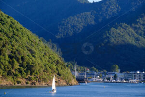 Picton harbour, South Island, New Zealand - SCP Stock