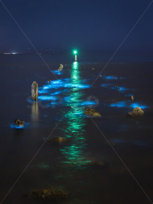 Bioluminescent Plankton in Ahuriri, Napier, Hawke’s Bay, New Zealand - SCP Stock