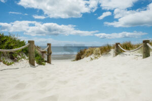 Access onto Omaha Beach, Auckland - SCP Stock