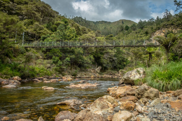 Footbridge over the Waitawheta River, Karangahake Gorge - SCP Stock