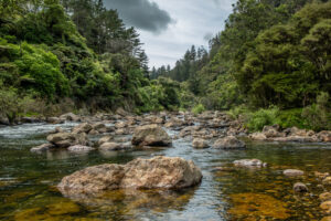 Ohinemuri River, Karangahake Gorge - SCP Stock