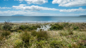 Omaha Beach Sand Dunes, Auckland - SCP Stock