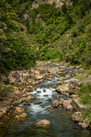 Waitawheta River, Karangahake Gorge - SCP Stock