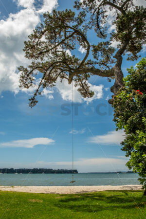 Rope Swing at a NZ Beach - SCP Stock