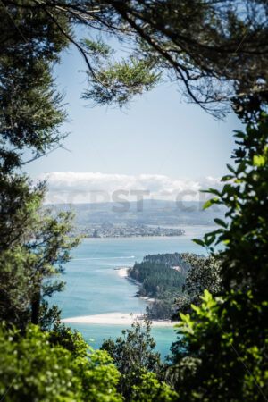 View from Mount Maunganui / Mauao - SCP Stock