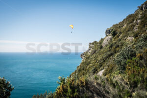 View from Mount Maunganui / Mauao - SCP Stock