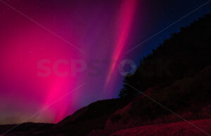 Aurora Australis – May 2024 - SCP Stock